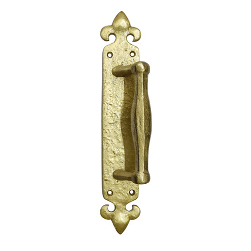 Buy Achaz Brass Door Pull with Back Plate-Premium Harware Products Online - Adonai Hardware